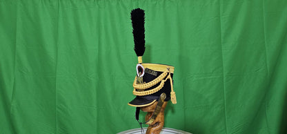 Napoleonic 18th Century 11th Hussars Military officer Shako